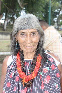Comunidades indígenas de Venezuela - Prensa H.Capriles